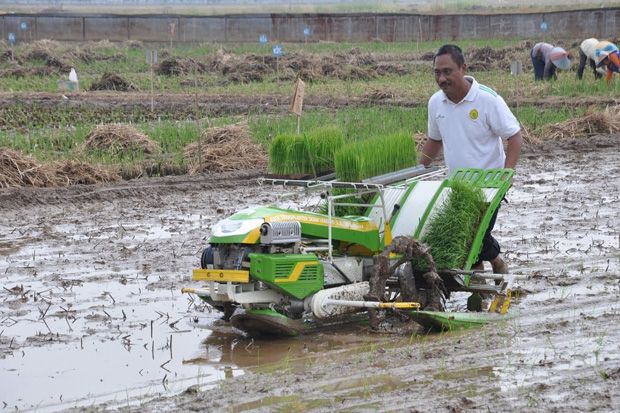 Ini Manfaat Alsintan Rice Transplanter untuk Pertanian