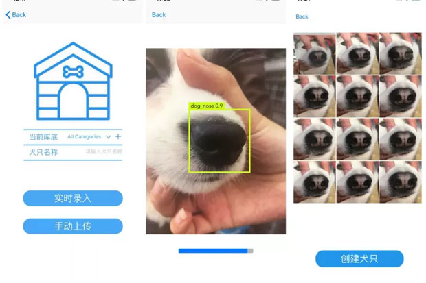 Pakai AI Startup Ini Bisa Lacak Anjing Hilang Lewat Moncong