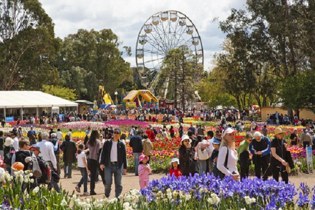 Australia Barat Gelar Kings Park Festival untuk Menyambut Wildflowers
