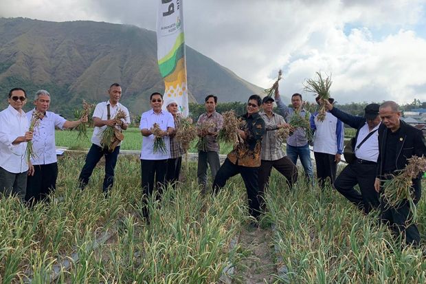 Lombok Timur Berpotensi Besar Dukung Swasembada Bawang Putih