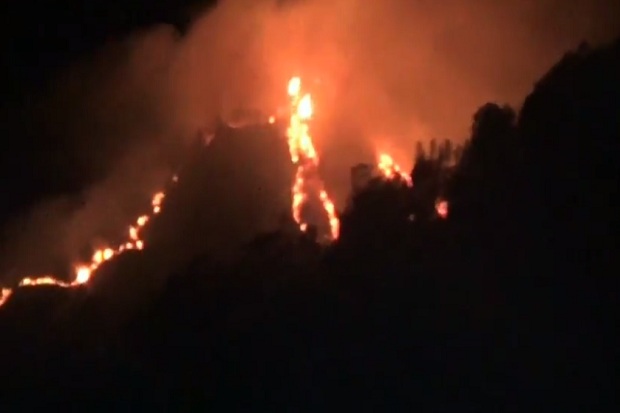 Kebakaran Gunung Panderman Meluas hingga 60 Hektare