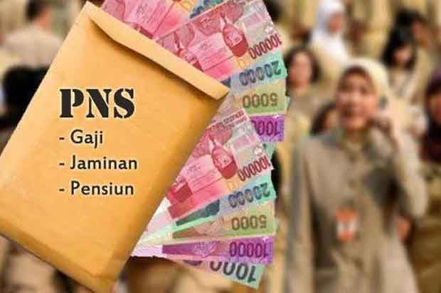 BKN Buka Kemungkinan Seleksi CPNS 2019 dan PPPK Tahap II Bersamaan