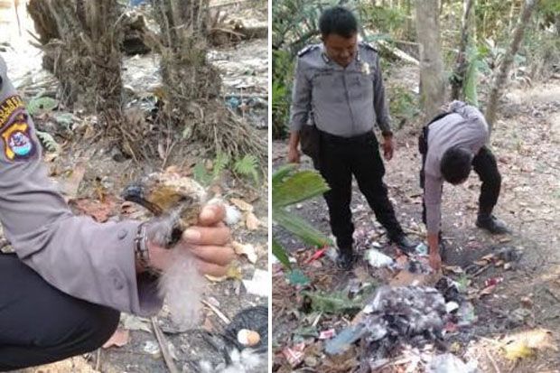 Usai Tembak Elang Jawa, Remaja asal Pandeglang Santap Hasil Buruannya