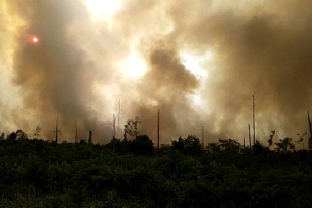 Gubernur Riau Minta Pembakar Lahan Bertobat
