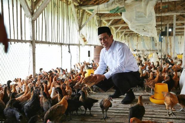 Ketua Komisi II DPD RI Akui Kebijakan Sektor Pertanian Berhasil Tingkatkan Ekspor Pertanian