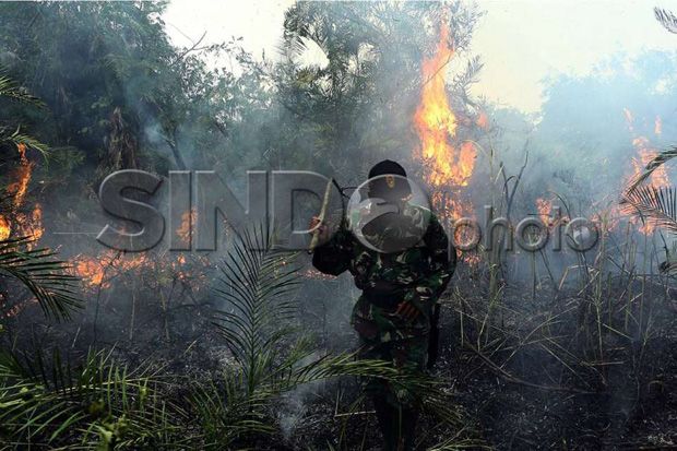 Kementerian LHK Siap Tindak Tegas Pelaku Pembakar Hutan dan Lahan