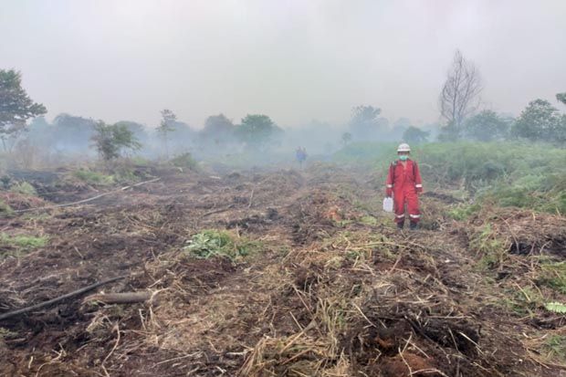 Lahan Dekat Konsesi Surya Dumai Group Terbakar, 20 Hektare Ludes