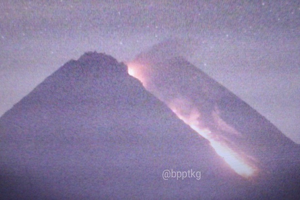Gunung Merapi Semburkan Wedus Gembel Sejauh 1,2 km