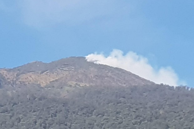 Puncak Gunung Ciremai Terbakar, Tim SAR Evakuasi Pendaki