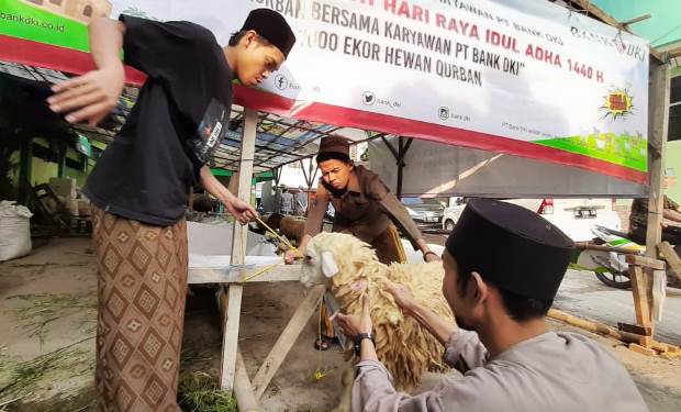 Bank DKI Sebar Kurban ke 100 Mesjid di Jakarta