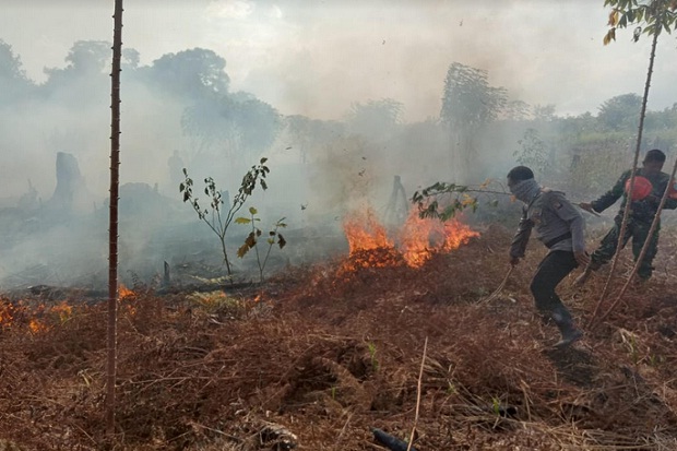 Kebakaran Hutan dan Lahan, Polda Kalbar Buru Pelaku Perorangan Hingga Korporasi