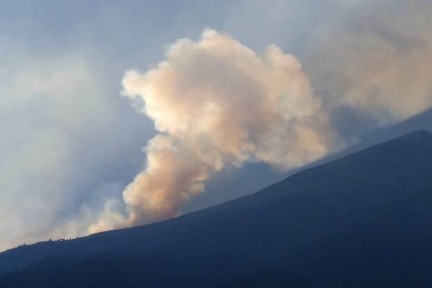 Hutan Gunung Sumbing di Wonosobo Terbakar