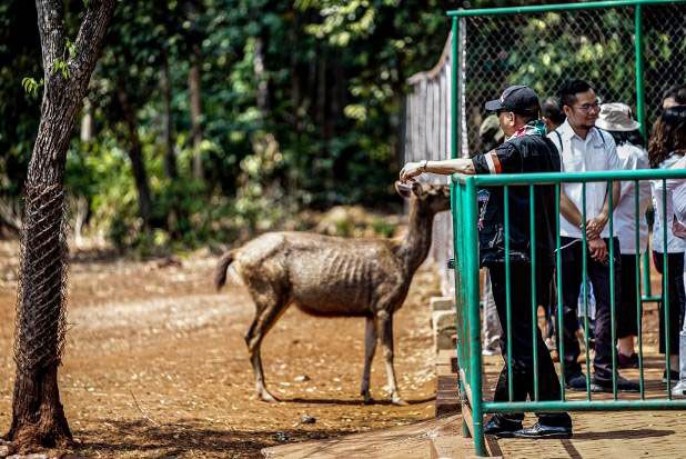 Menpar Terpesona Ecowisata Mandiangin Tahura Sultan Adam