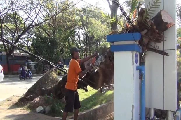 Hendak Bayar Pajak, Irwan Tewas Tertimpa Pohon Tumbang di Depan Samsat