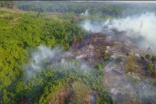 Puluhan Hektare Lahan Pulau Enggano Hangus Terbakar