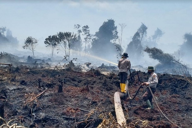 115 Hotspot Menyebar di Riau, 3 Daerah Diselimuti Kabut Asap