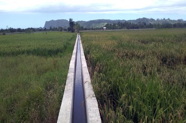 Petani Lampung Timur Maksimalkan Irigasi Saat Musim Kemarau
