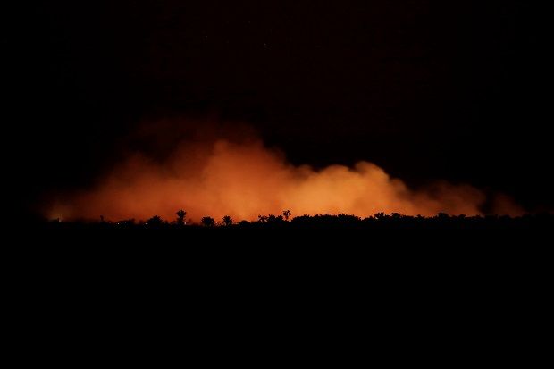 Brazil Mengaku Kurang Sumber Daya Padamkan Kebakaran Hutan Amazon