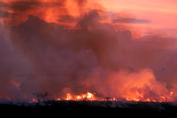 Kebakaran Hutan Amazon, Bolsonaro Minta Dunia Tidak Ikut Campur