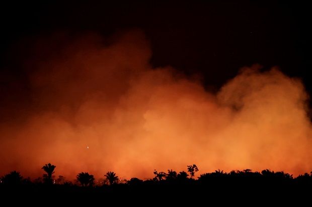 Paus Francis Serukan Komitmen Global Bantu Padamkan Kebakaran Amazon