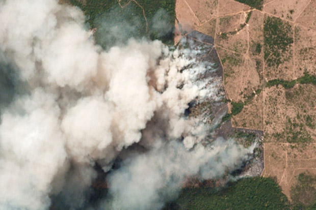 Pasukan Brazil Mulai Padamkan Kebakaran Hutan Amazon