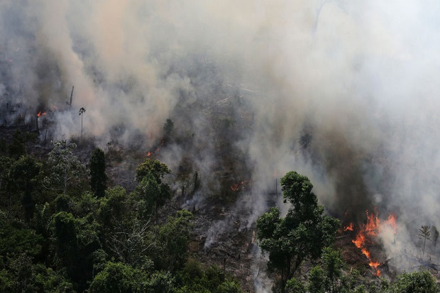 Trump Tawarkan Bantuan untuk Padamkan Kebakaran Amazon