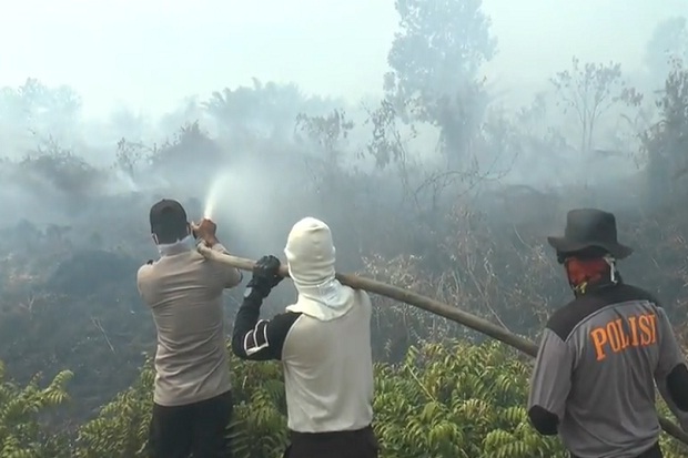 Tersangka Pembakar Hutan dan Lahan di Kalbar Bertambah Jadi 52 Orang