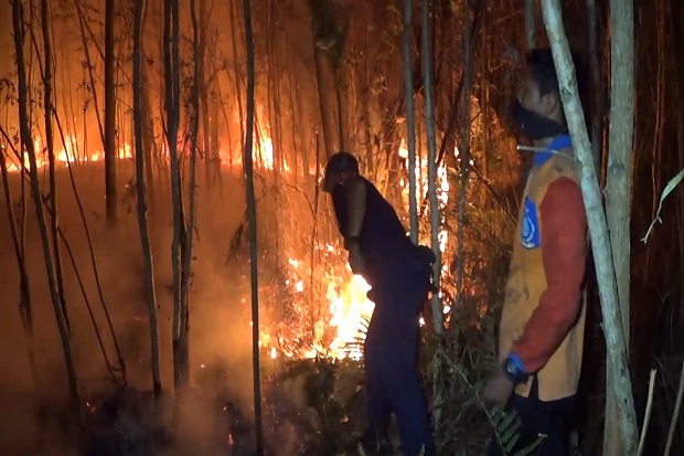 10 Hektare Lahan Gambut di Pangkalpinang Terbakar