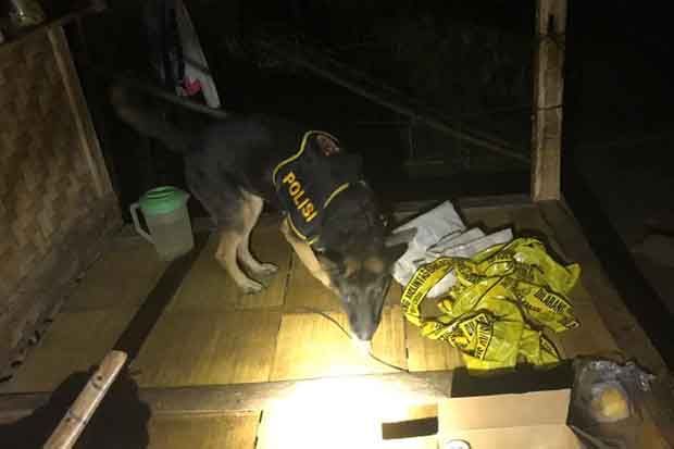 Polisi Kerahkan Anjing Pelacak di Lokasi Pembunuhan Gadis Baduy