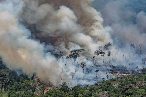 Padamkan Kebakaran Hutan Amazon, Bolsonaro Minta Bantuan Trump