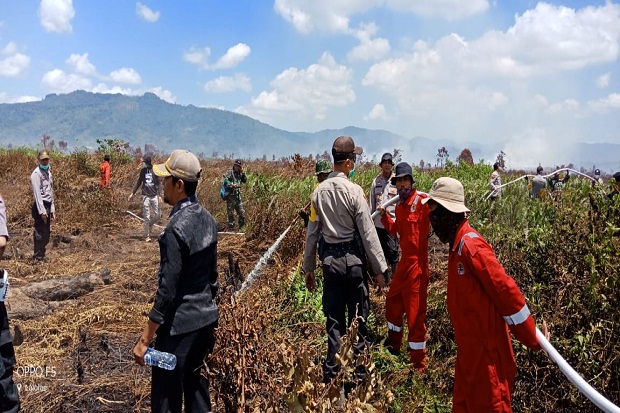 Lahan Seluas 150 Hektare Terbakar di Kolaka Timur