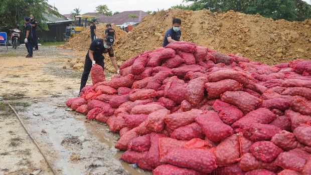 Bea Cukai Kuala Langsa Musnahkan 3000 Karung Bawang Ilegal