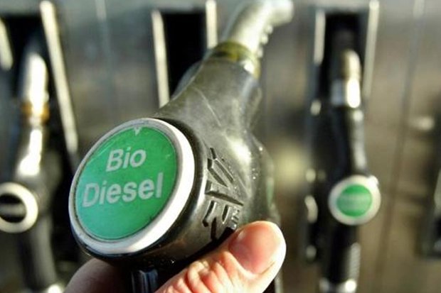 September, Harga Biodiesel Naik Jadi Rp6.929 per Liter