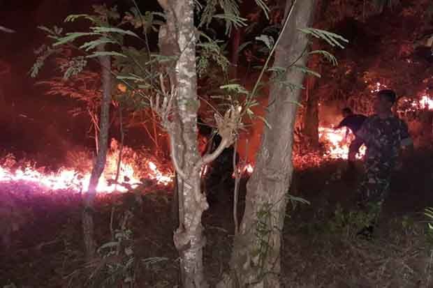 Gara-Gara Puntung Rokok, Tiga Hektare Lahan Perkebunan Terbakar