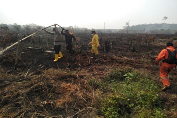 Kebakaran di Konsesi Minyak PT Chevron Riau Kian Meluas
