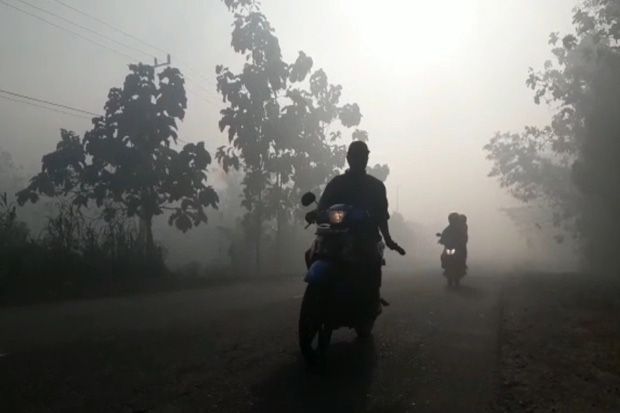 Dampak Karhutla, Kabut Tebal Selimuti Jalan Trans Sulawesi