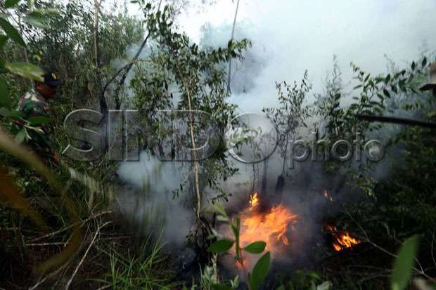 DPR Desak Pemerintah Segera Atasi Kebakaran Hutan di Riau