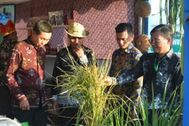 PEDA KTNA Ke-IX Diikuti Seluruh Kabupaten/Kota di Sulawesi Tengah