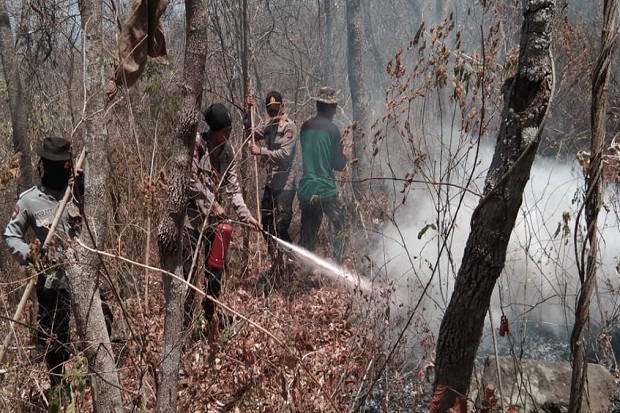 100 Hektare Hutan Gunung Malang di Lombok Terbakar