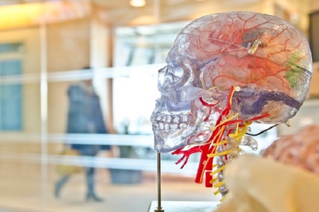 6 Kebiasaan Buruk yang Mempengaruhi Fungsi Otak