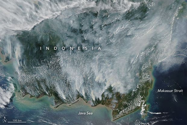 Potret Kebakaran Hutan di Indonesia, NASA Katakan Ini Bahayanya