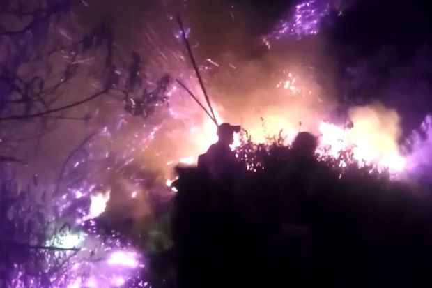 Gunung Slamet Terbakar, Puluhan Petugas Diterjunkan Padamkan Api