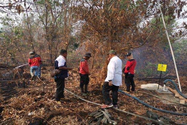 DPR Minta Presiden Tambah Anggaran untuk Kebakaran Hutan