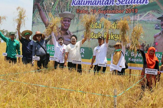 Kalimantan Selatan Berhasil Manfaatkan Lahan Rawa untuk Pertanian