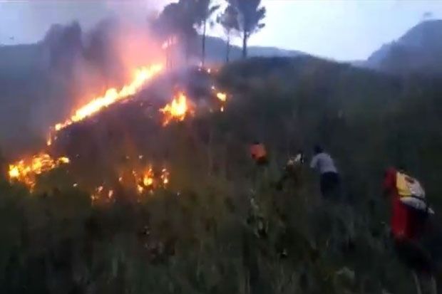 Hutan di Tepi Danau Toba Kabupaten Dairi Kembali Terbakar