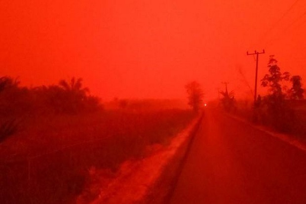 Langit Jambi Merah Darah karena Karhutla Jadi Sorotan Dunia