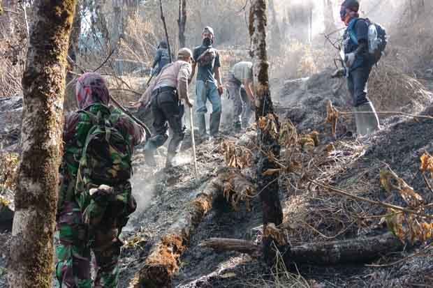 24 Hektare Hutan Gunung Sumbing Terbakar