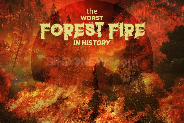 10 Kebakaran Hutan Terparah dalam Sejarah
