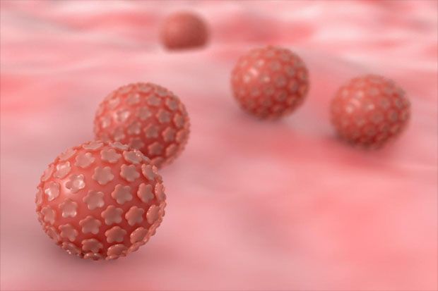 4 Jenis Kanker yang Disebabkan Human Papillomavirus (HPV)
