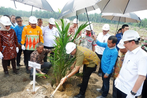Sinar Mas Agribusiness and Food Gelar Replanting Kelapa Sawit Petani Plasma